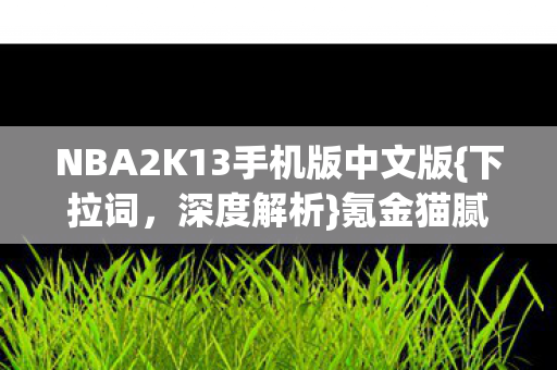 NBA2K13手机版中文版图片