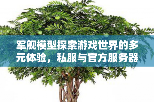 军舰模型探索游戏世界的多元体验图片