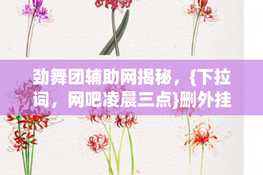 劲舞团辅助网揭秘图片