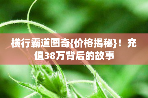 充值38万背后的故事图片