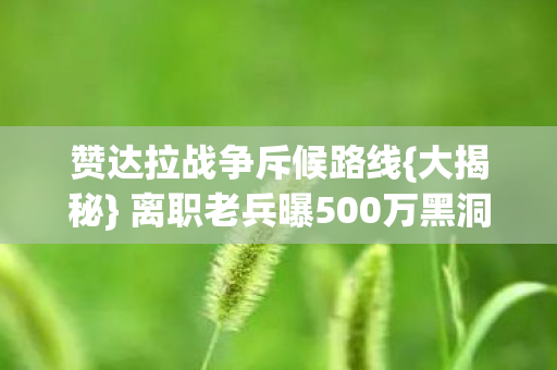 离职老兵曝500万黑洞图片