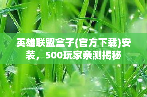 500玩家亲测揭秘图片