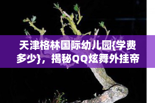 揭秘QQ炫舞外挂帝国图片
