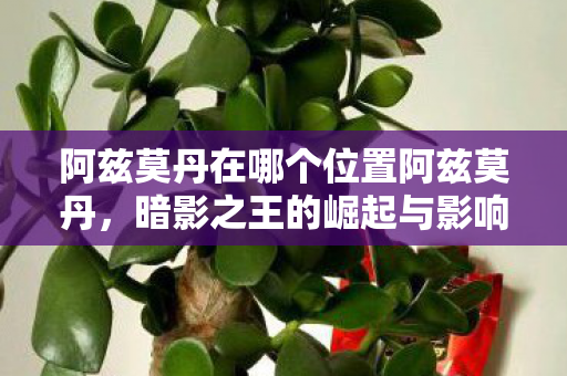 暗影之王阿兹莫丹的崛起与影响图片