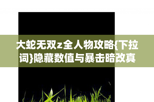 隐藏数值与暴击暗改真相图片