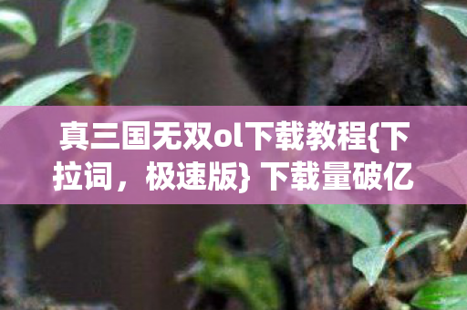 真三国无双ol下载教程图片