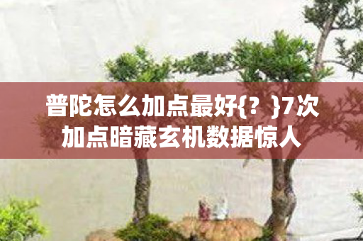 7次加点暗藏玄机数据惊人图片