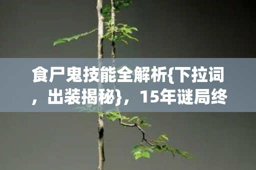 15年谜局终让玩家泪目图片