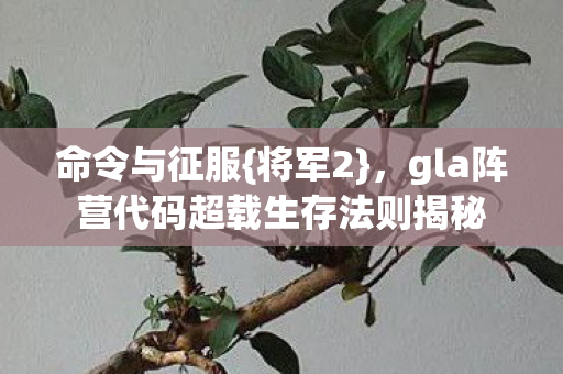 gla阵营代码超载生存法则揭秘图片