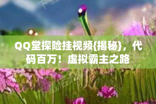 QQ堂探险挂视频图片