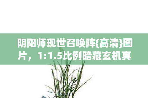5比例暗藏玄机真相图片