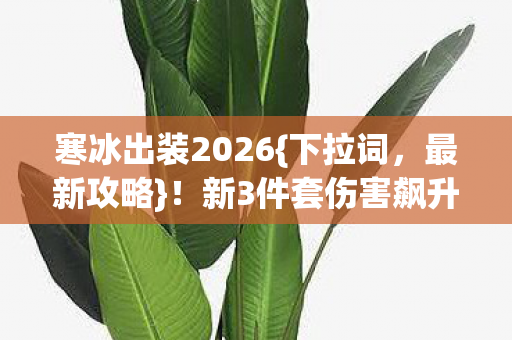 新3件套伤害飙升却藏隐患图片