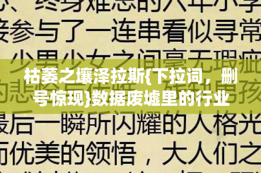 数据废墟里的行业眼泪图片