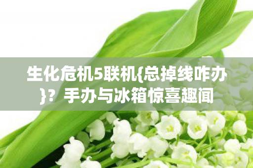 手办与冰箱惊喜趣闻图片