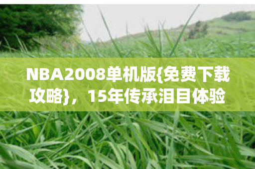 NBA2008单机版图片