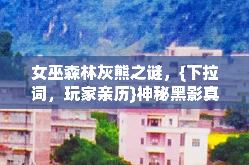 女巫森林灰熊之谜图片