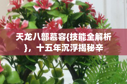 十五年沉浮揭秘辛图片