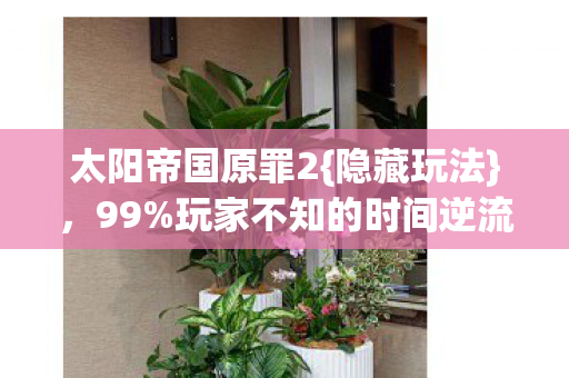 太阳帝国原罪2{隐藏玩法},99%玩家不知的时间逆流机制 太阳帝国原罪2{隐藏玩法},99%玩家不知的时间逆流机制