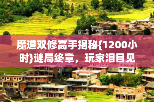 魔道双修高手揭秘{1200小时}谜局终章,玩家泪目见证 魔道双修高手揭秘{1200小时}谜局终章,玩家泪目见证