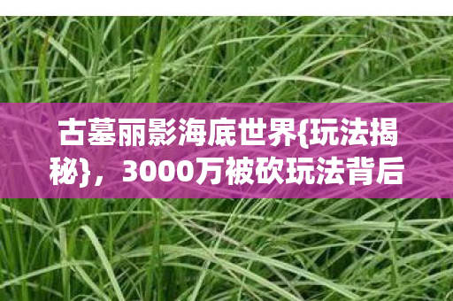 古墓丽影海底世界{玩法揭秘},3000万被砍玩法背后真相 古墓丽影海底世界{玩法揭秘},3000万被砍玩法背后真相