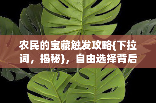 农民的宝藏触发攻略{下拉词，揭秘}，自由选择背后的灵魂操控