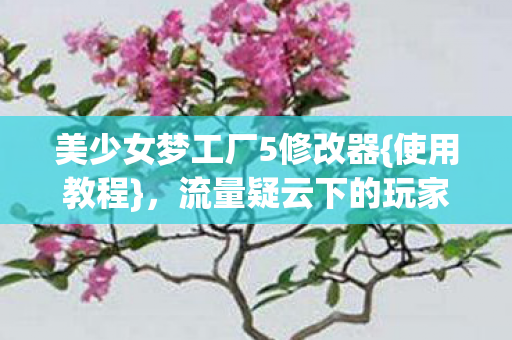 美少女梦工厂5修改器{使用教程},流量疑云下的玩家心声 美少女梦工厂5修改器{使用教程},流量疑云下的玩家心声