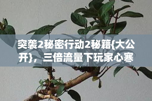 突袭2秘密行动2秘籍{大公开},三倍流量下玩家心寒之谜 突袭2秘密行动2秘籍{大公开},三倍流量下玩家心寒之谜