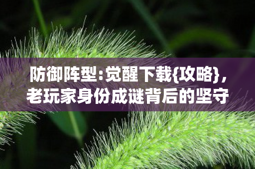 防御阵型:觉醒下载{攻略},老玩家身份成谜背后的坚守 防御阵型:觉醒下载{攻略},老玩家身份成谜背后的坚守