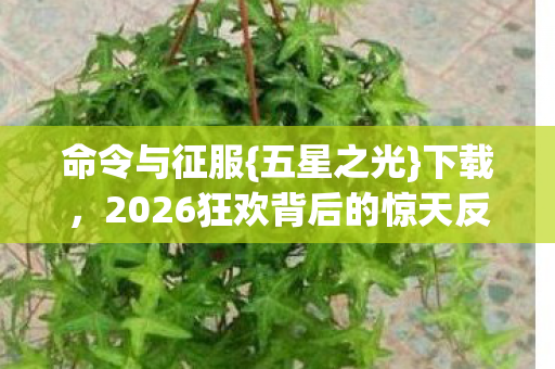 2026狂欢背后的惊天反转图片