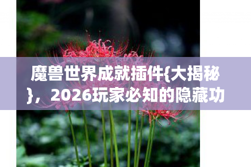 2026玩家必知的隐藏功能图片