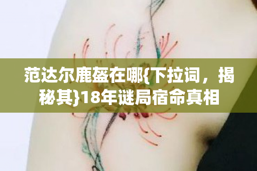 18年谜局宿命真相图片