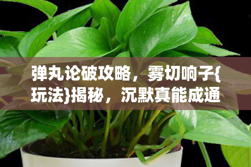 沉默真能成通关密码图片