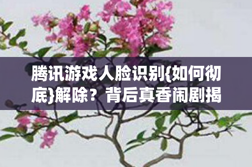 腾讯游戏人脸识别图片