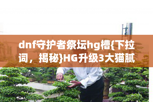 dnf守护者祭坛hg槽图片