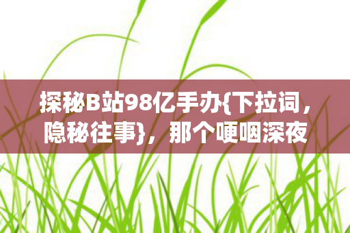 探秘B站98亿手办图片