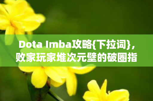 败家玩家堆次元壁的破圈指南图片