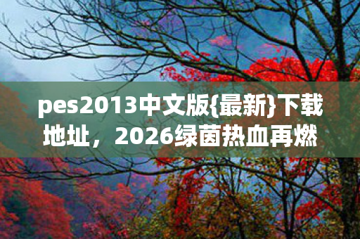 pes2013中文版图片