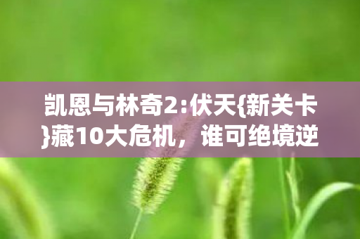 凯恩与林奇2图片