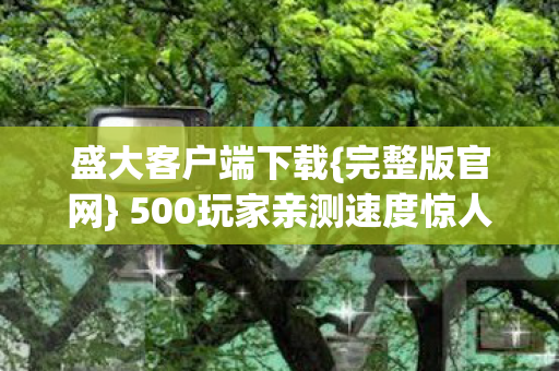 500玩家亲测速度惊人图片