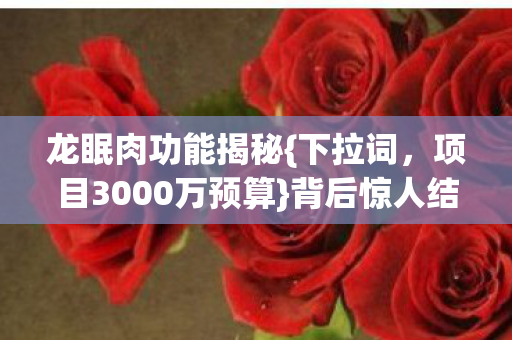 项目3000万预算图片