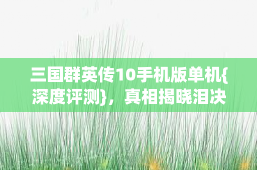 三国群英传10手机版单机图片