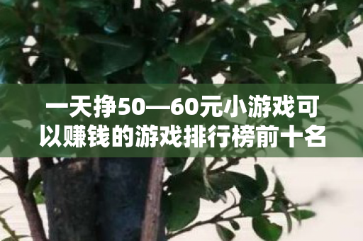 一天挣50—60元小游戏可以赚钱的游戏排行榜前十名,日赚50-60元!热门赚钱小游戏排行榜TOP10 一天挣50—60元小游戏可以赚钱的游戏排行榜前十名,日赚50-60元!热门赚钱小游戏排行榜TOP10