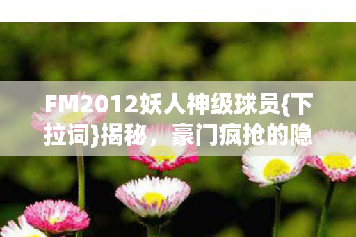FM2012妖人神级球员图片