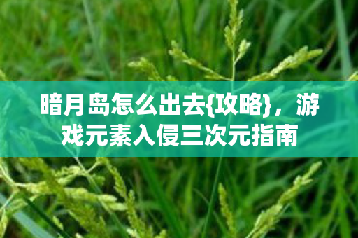 游戏元素入侵三次元指南图片