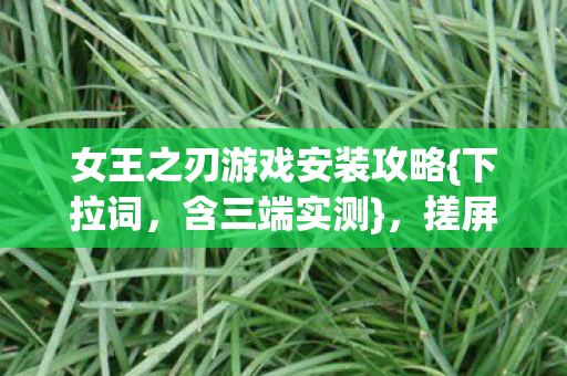 女王之刃游戏安装攻略图片