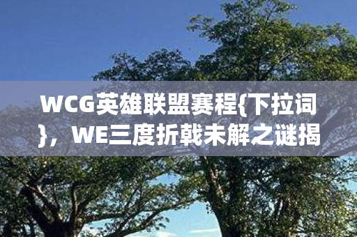 WE三度折戟未解之谜揭秘图片