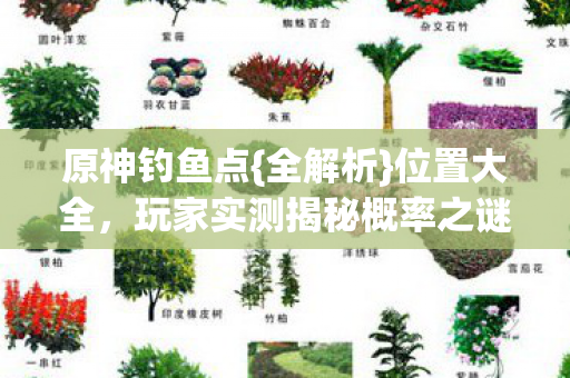 玩家实测揭秘概率之谜图片