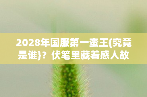 2028年国服第一蛮王图片