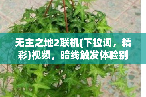 暗线触发体验别样人生图片