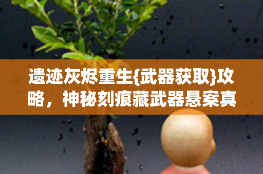 神秘刻痕藏武器悬案真相图片
